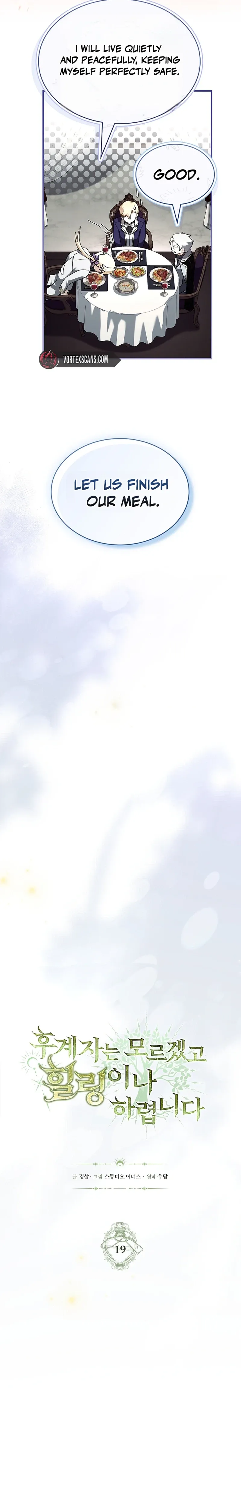 Never Mind the Heir, I’ll Focus on Healing Chapter 19 page 13 - 