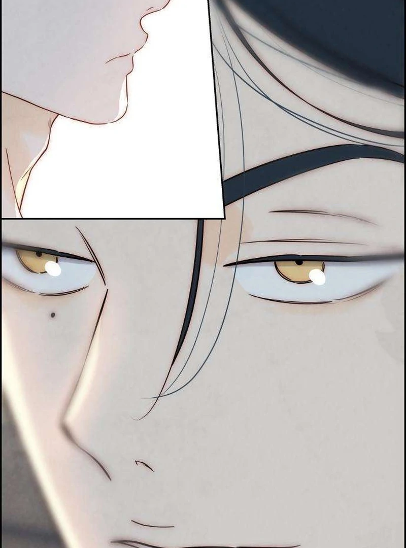 Never Once Did You Touch Me Like This Chapter 11 page 118 - 
