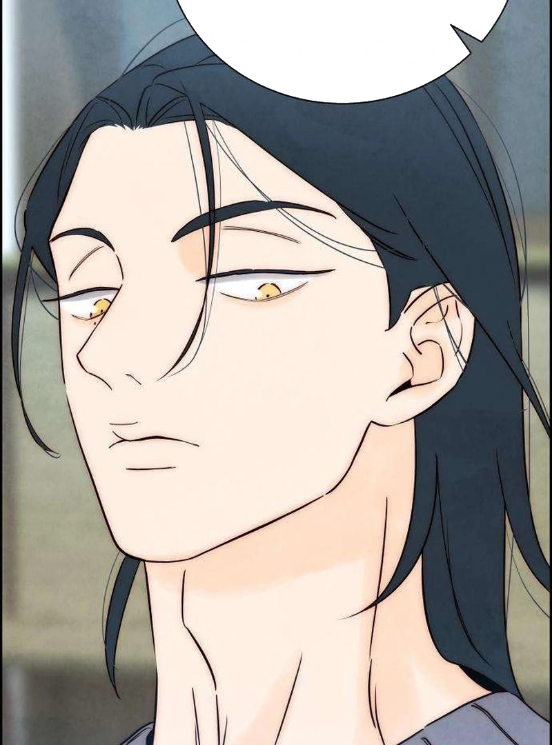 Never Once Did You Touch Me Like This Chapter 11 page 148 - 