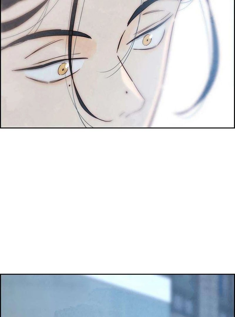 Never Once Did You Touch Me Like This Chapter 11 page 53 - 