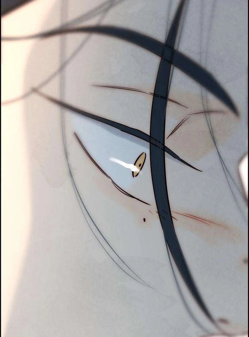 Never Once Did You Touch Me Like This Chapter 11 page 65 - 