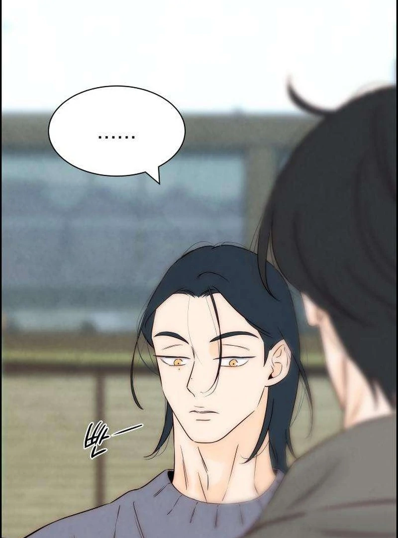 Never Once Did You Touch Me Like This Chapter 11 page 80 - 