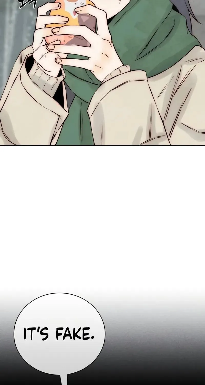 Never Once Did You Touch Me Like This Chapter 19 page 14 - 