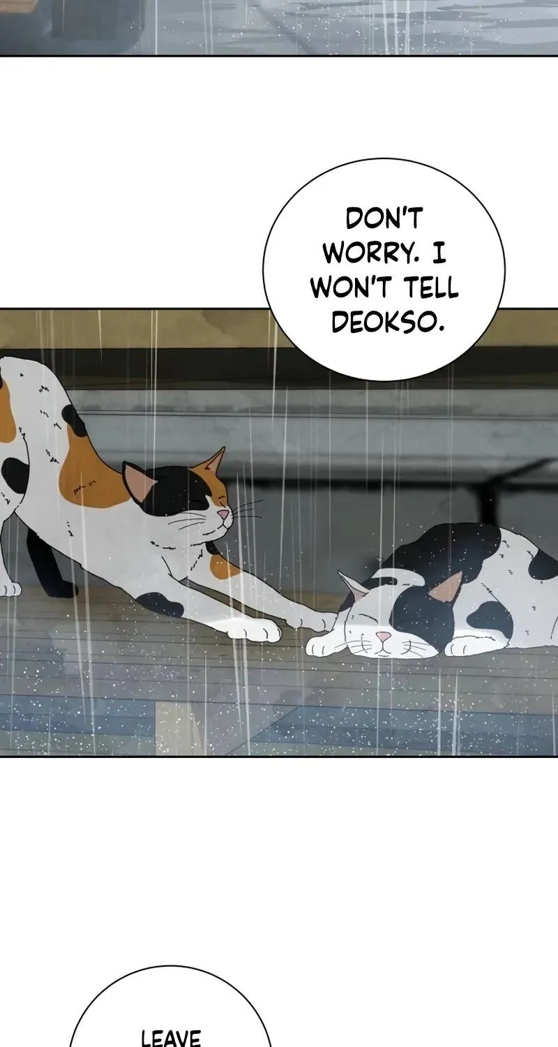 Never Once Did You Touch Me Like This Chapter 19 page 24 - 