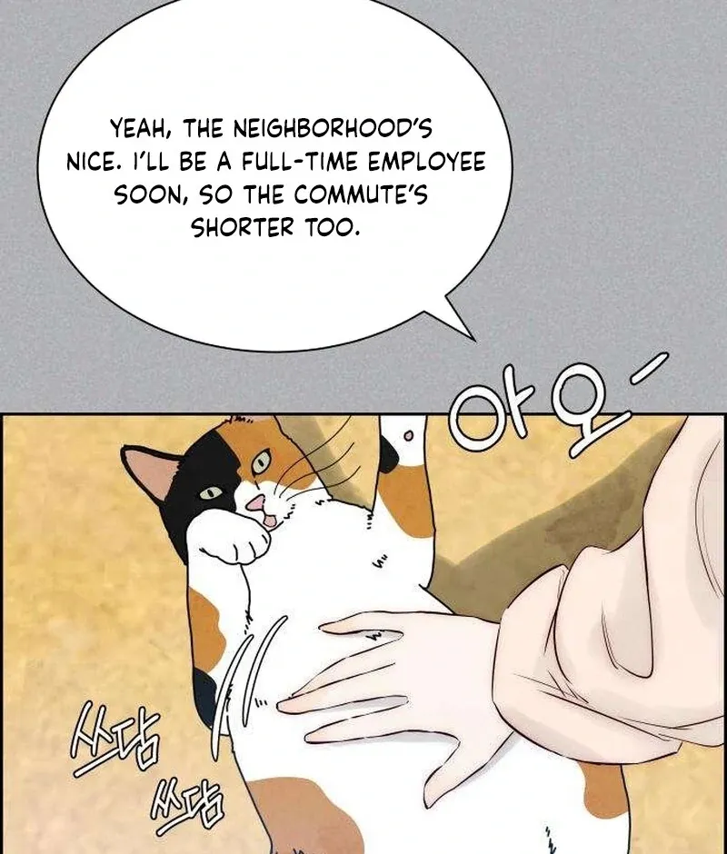 Never Once Did You Touch Me Like This Chapter 4 page 37 - 