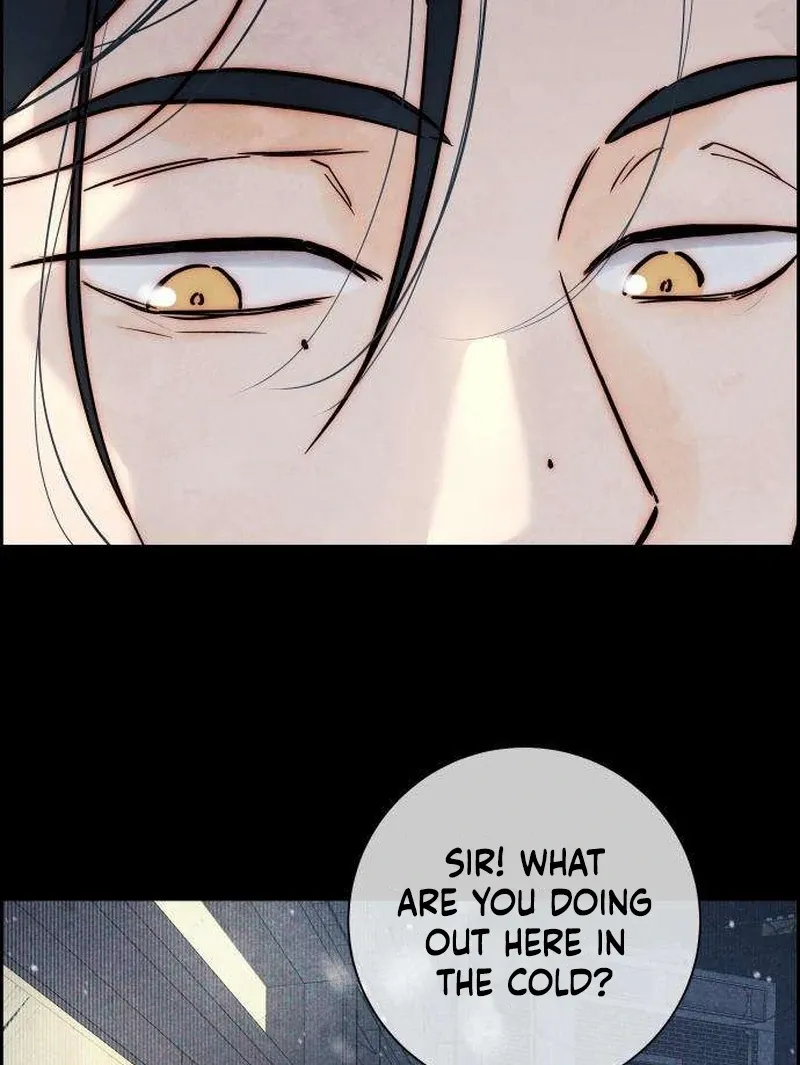 Never Once Did You Touch Me Like This Chapter 7 page 147 - 