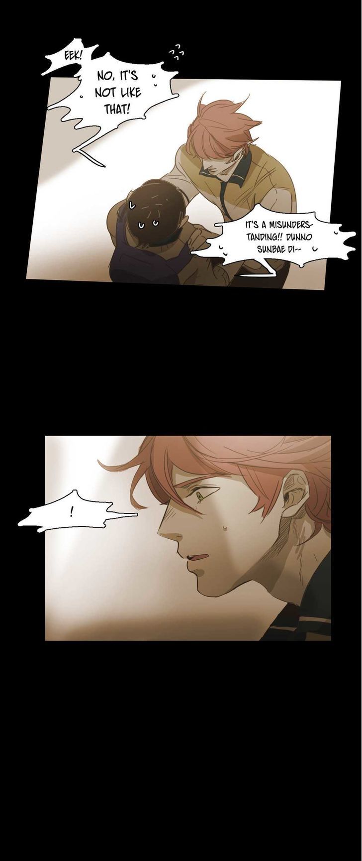 Never Understand Chapter 53 page 29 - 