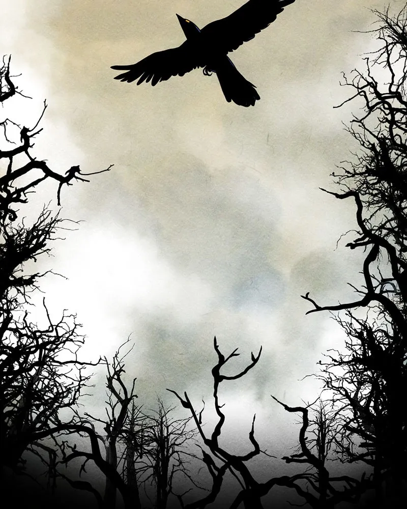 Nevermore Chapter 1 page 8 - 