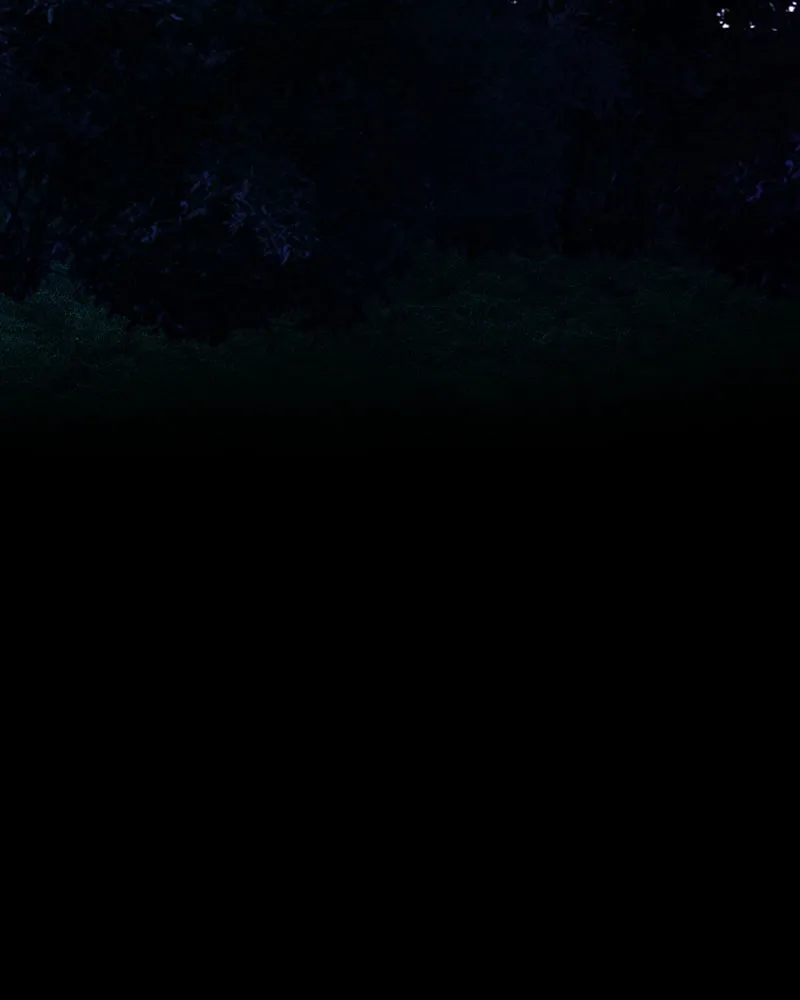 Nevermore Chapter 46 page 91 - 