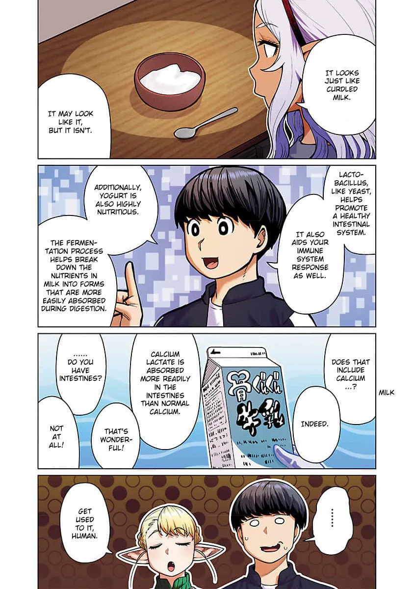 New Elf Can