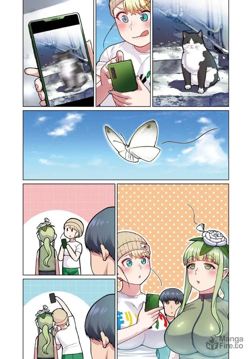 New Elf Can