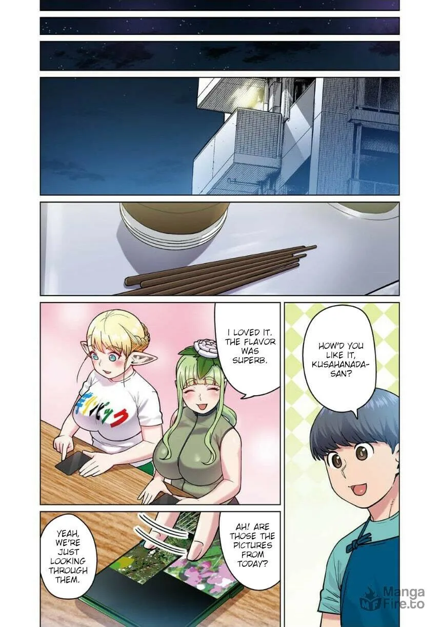 New Elf Can