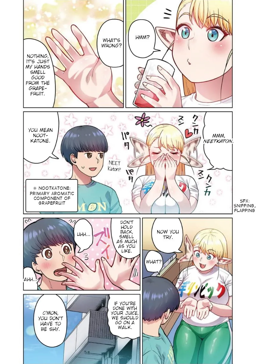 New Elf Can