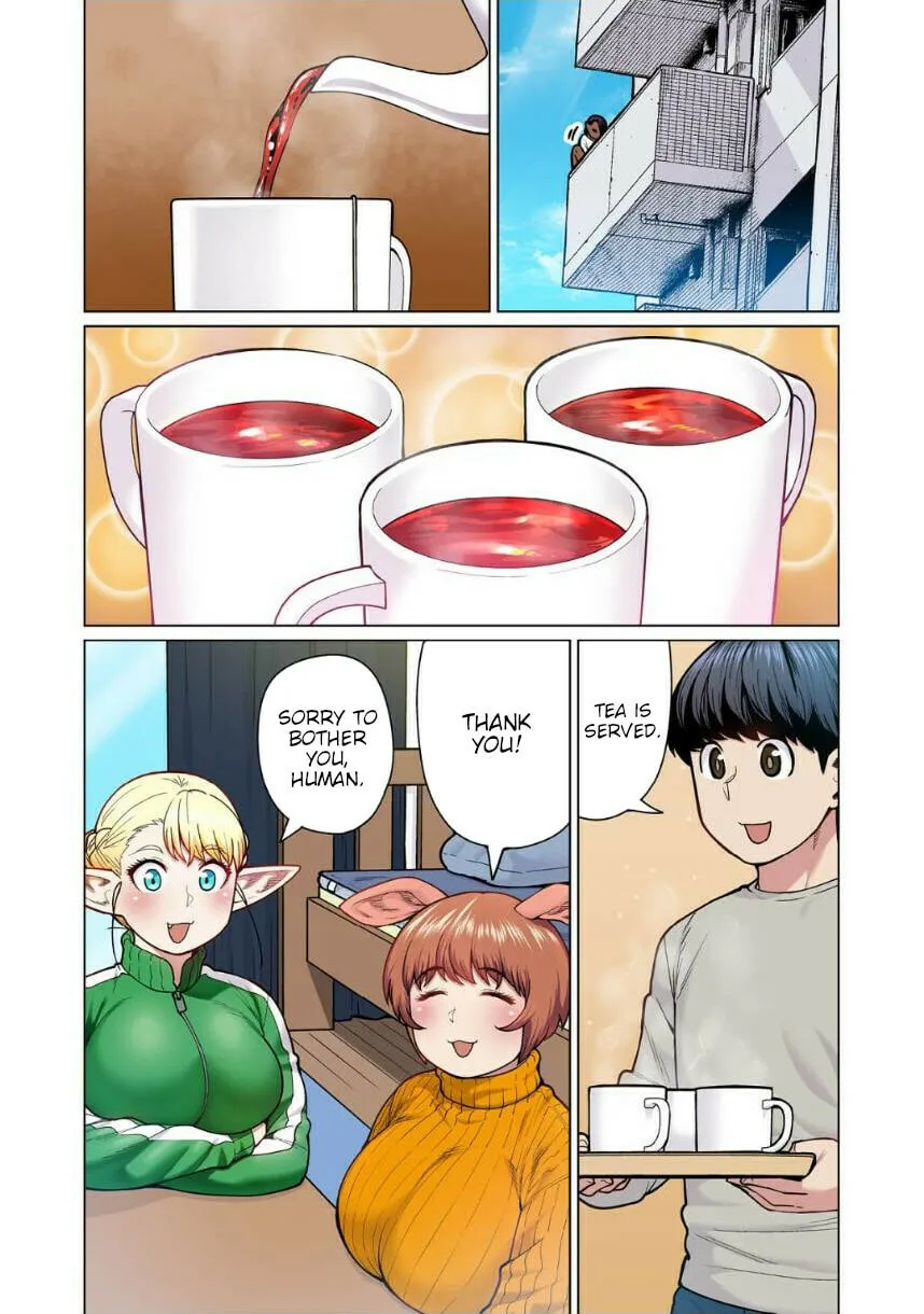 New Elf Can
