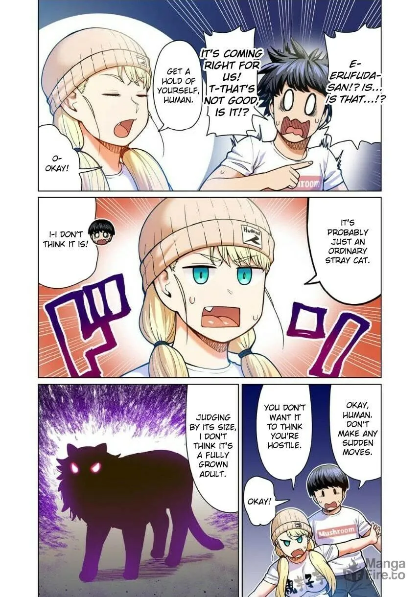 New Elf Can