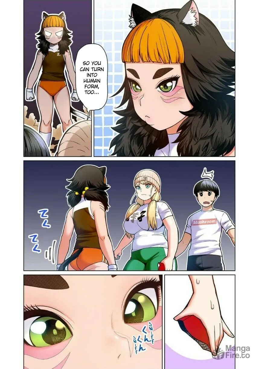New Elf Can