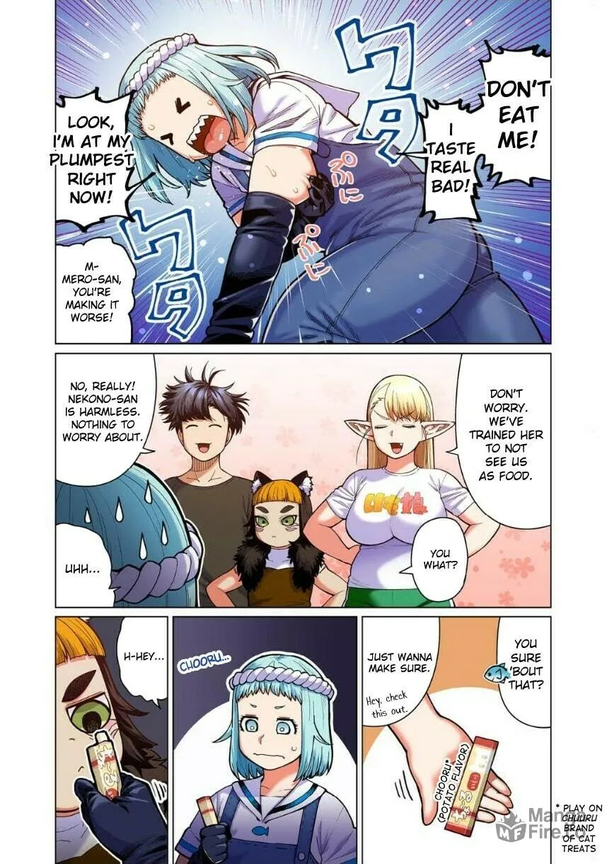 New Elf Can