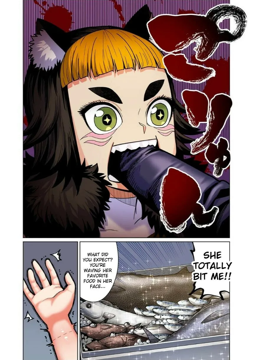 New Elf Can