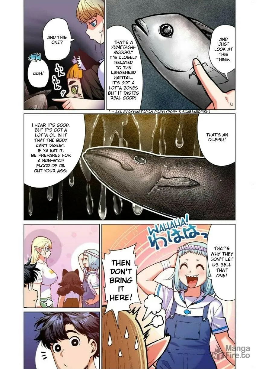New Elf Can