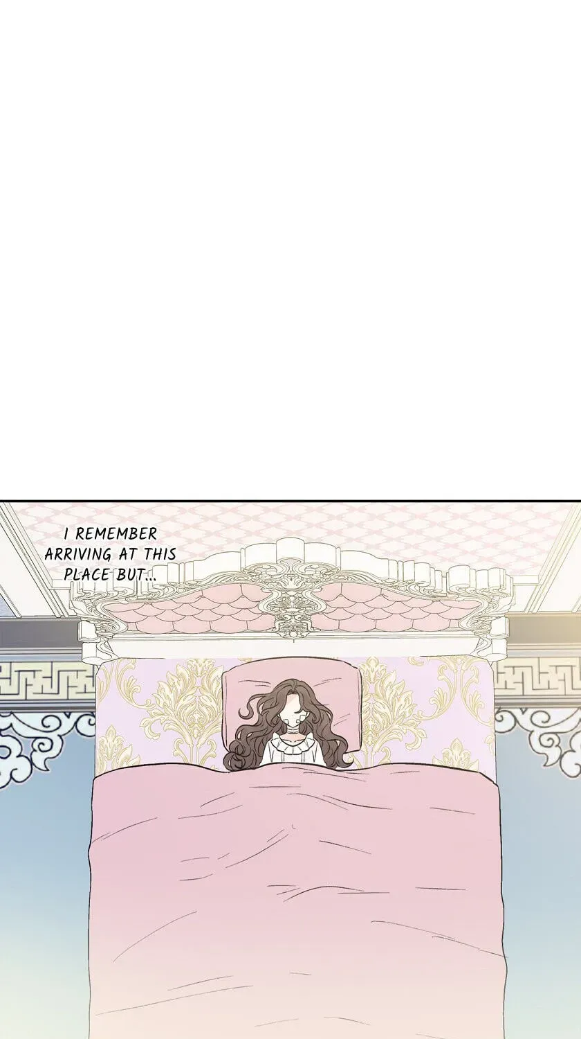 New Suitor for the Abandoned Wife Chapter 2 page 5 - 