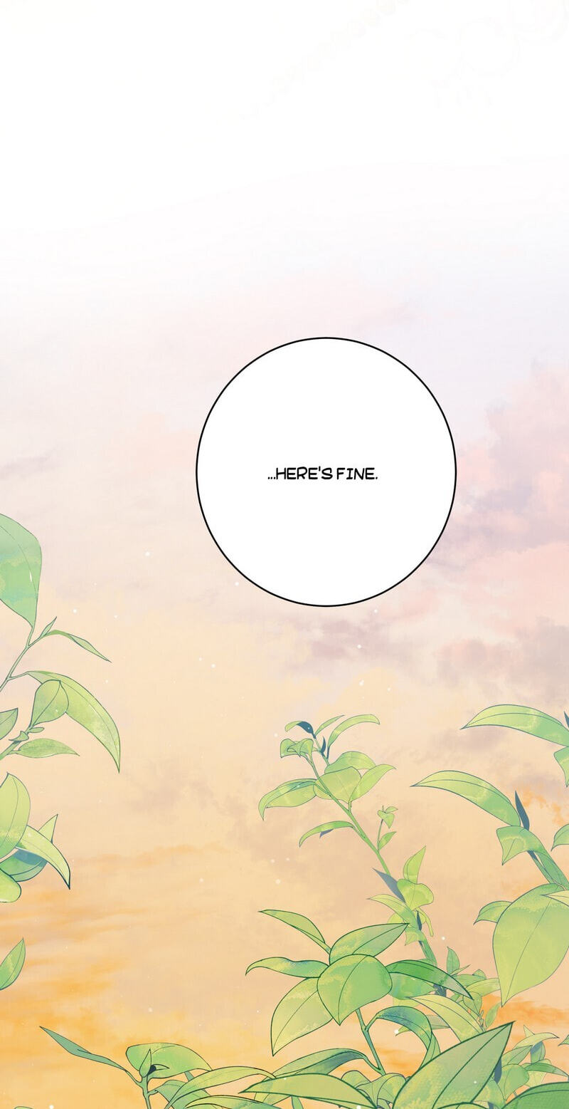 New Suitor for the Abandoned Wife Chapter 65 page 70 - 