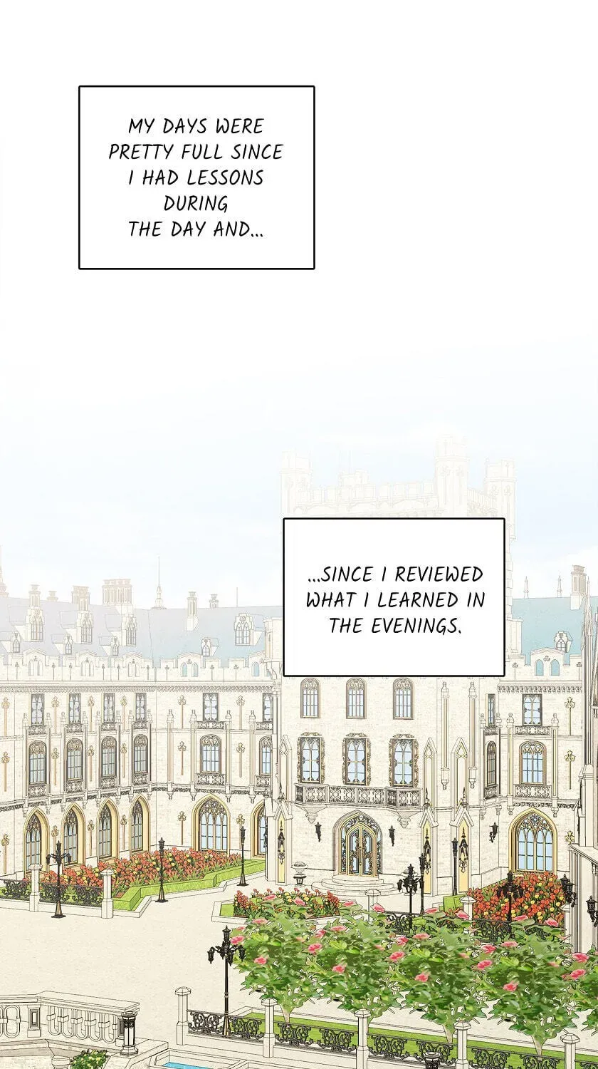 New Suitor for the Abandoned Wife Chapter 7 page 1 - 