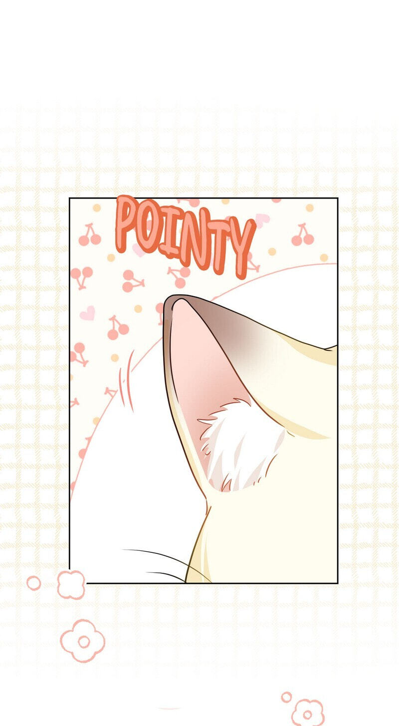 New Suitor for the Abandoned Wife Chapter 72 page 34 - 