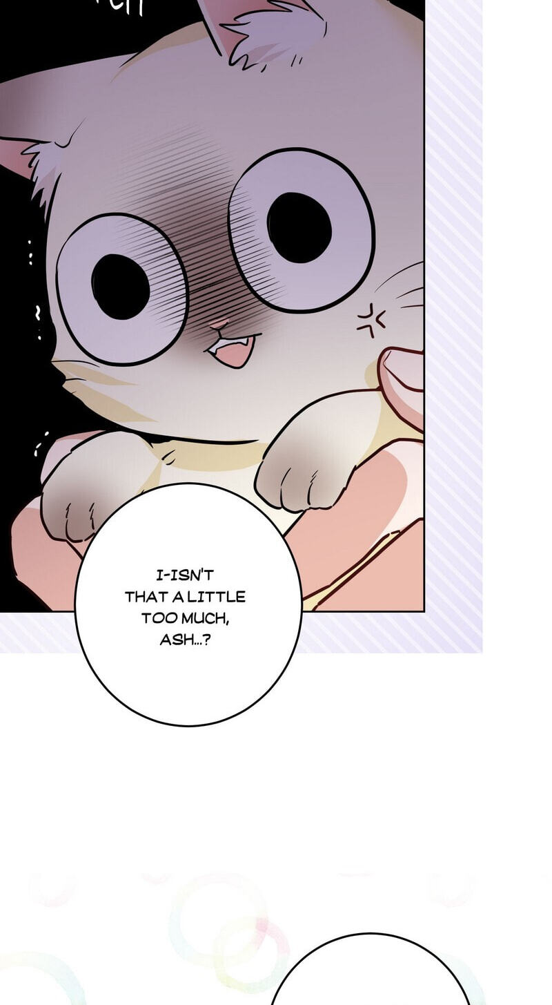 New Suitor for the Abandoned Wife Chapter 72 page 50 - 