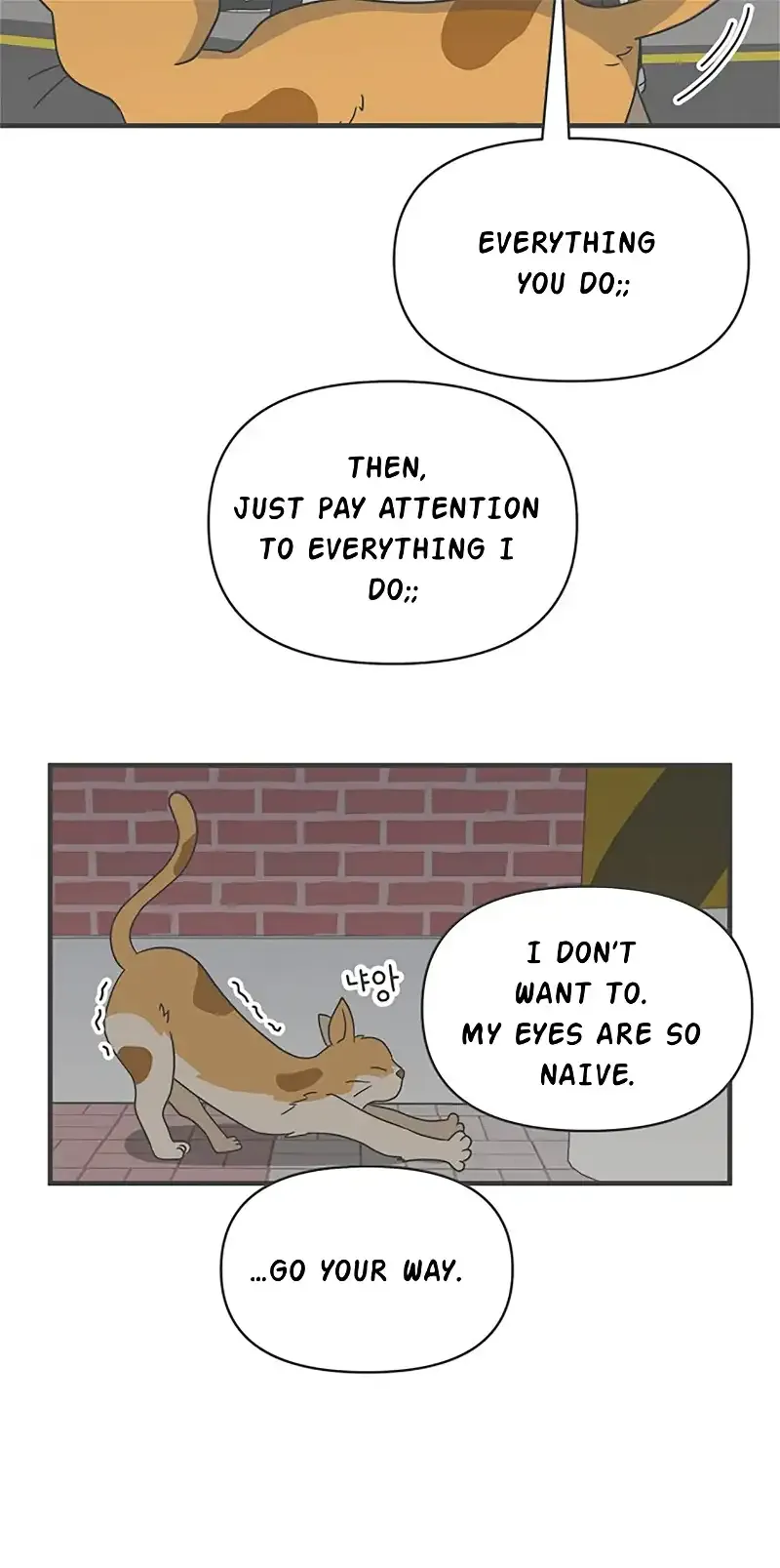 Newbies Chapter 20 page 48 - 