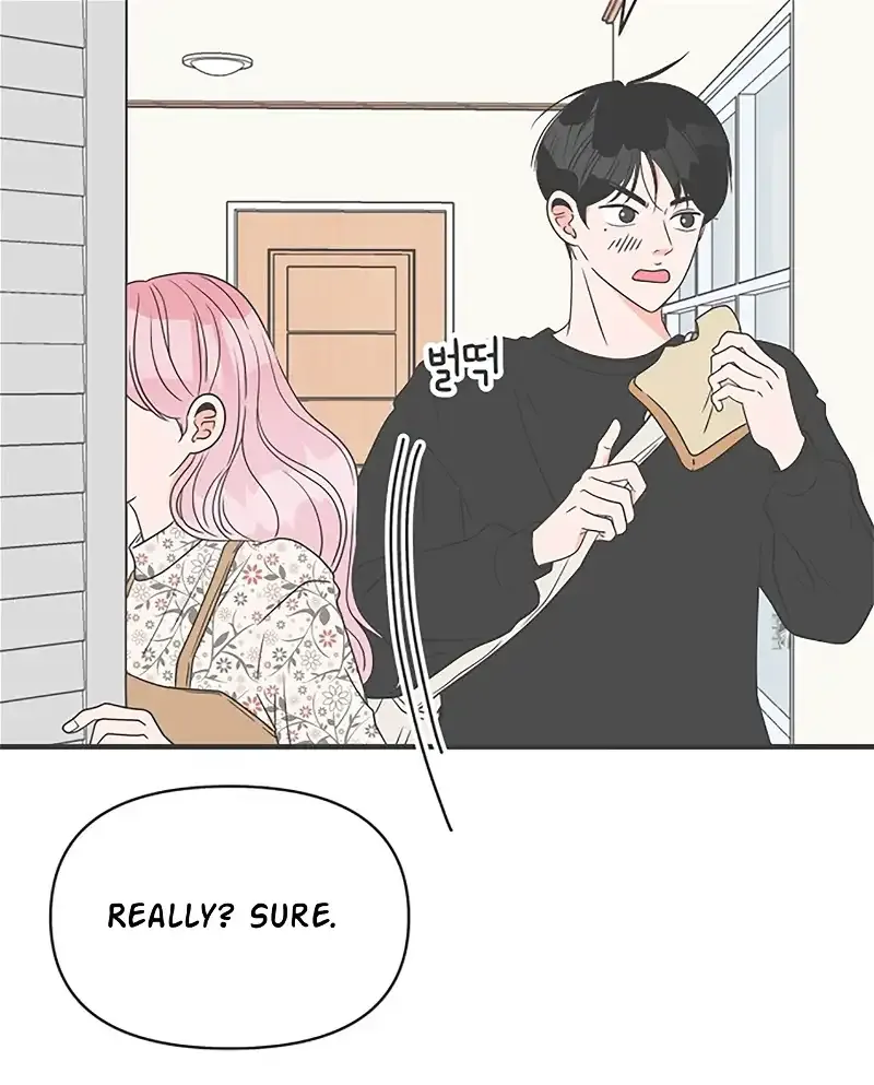 Newbies Chapter 26 page 41 - 