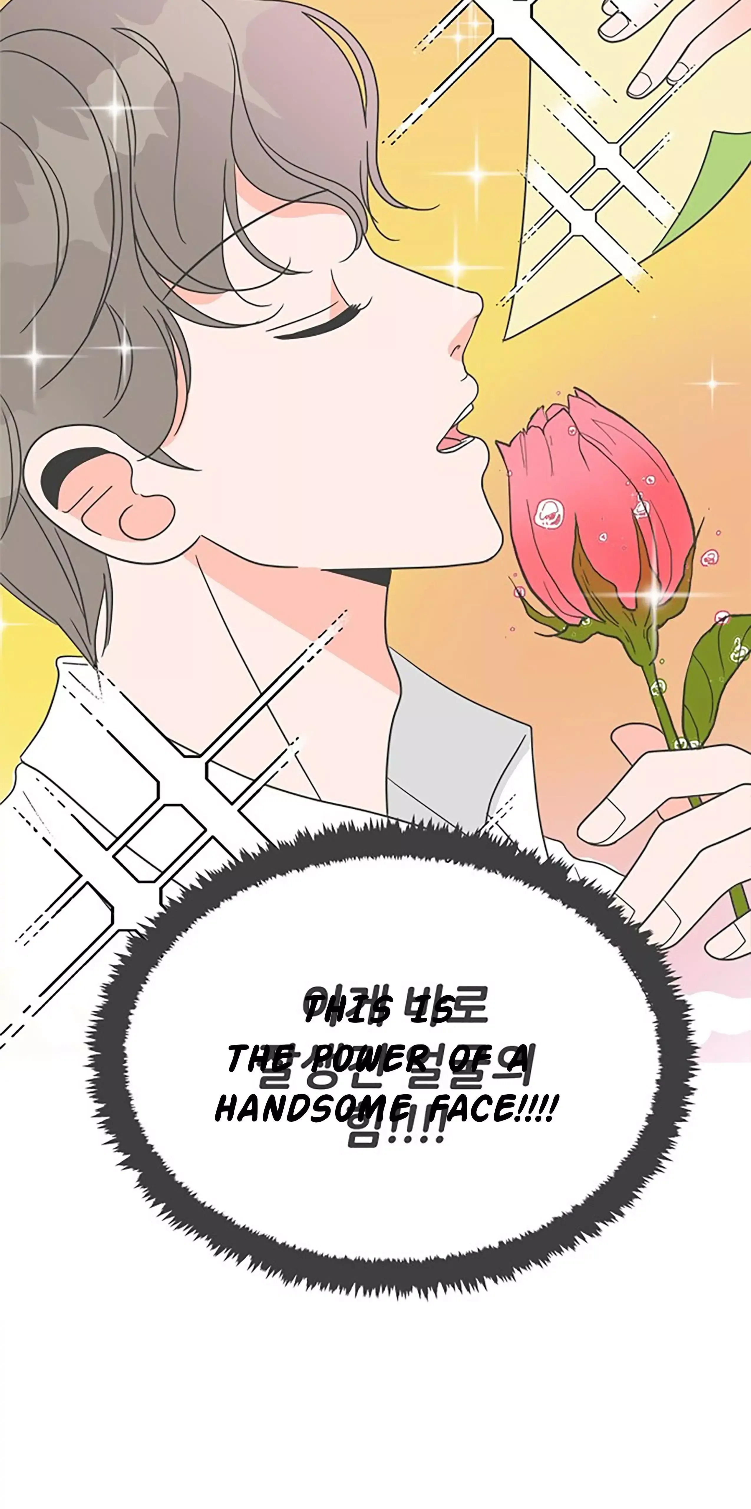 Newbies Chapter 8 page 30 - 