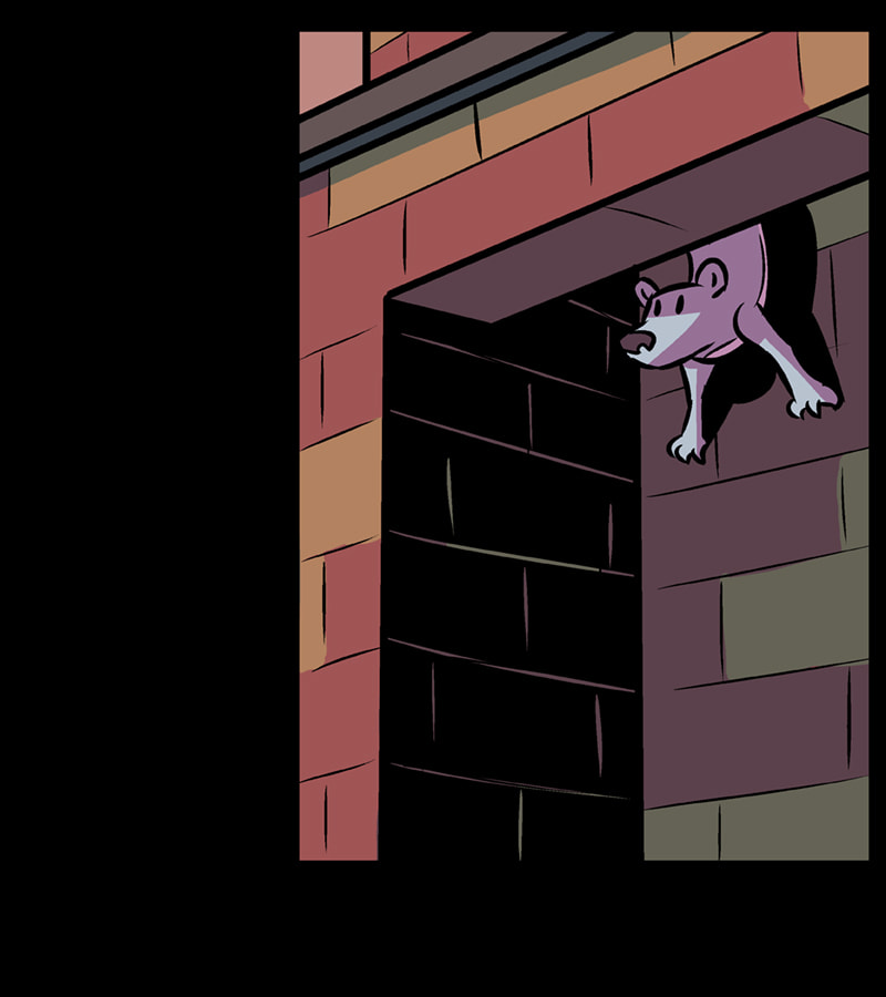 Newsman Chapter 204 page 50 - 
