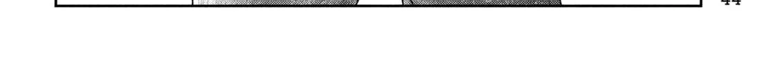 Nezumi