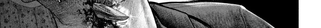 Nezumi