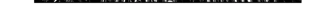 Nezumi