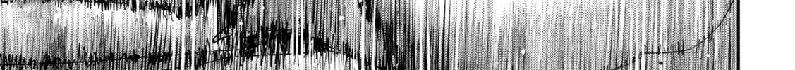 Nezumi