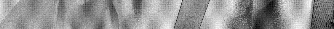 Nezumi