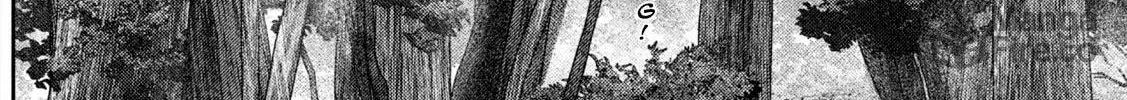 Nezumi
