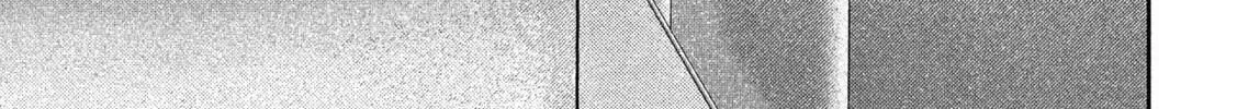 Nezumi