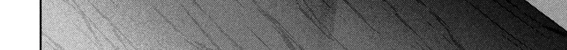 Nezumi