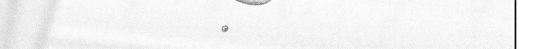 Nezumi
