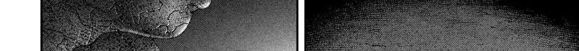 Nezumi