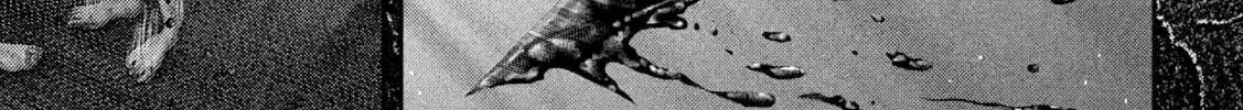 Nezumi