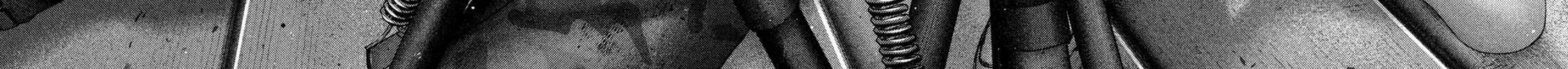 Nezumi