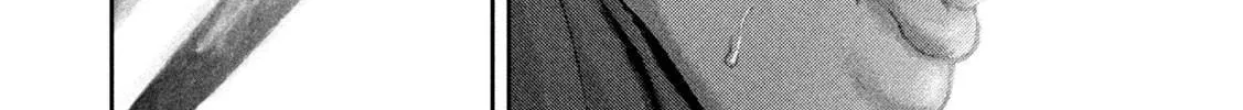 Nezumi