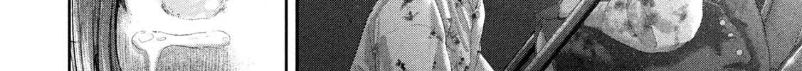 Nezumi