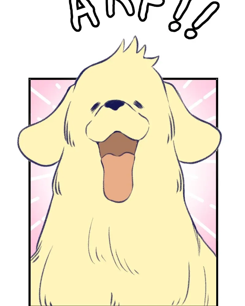 Nice To Meet You (webtoon) Chapter 13 page 3 - 