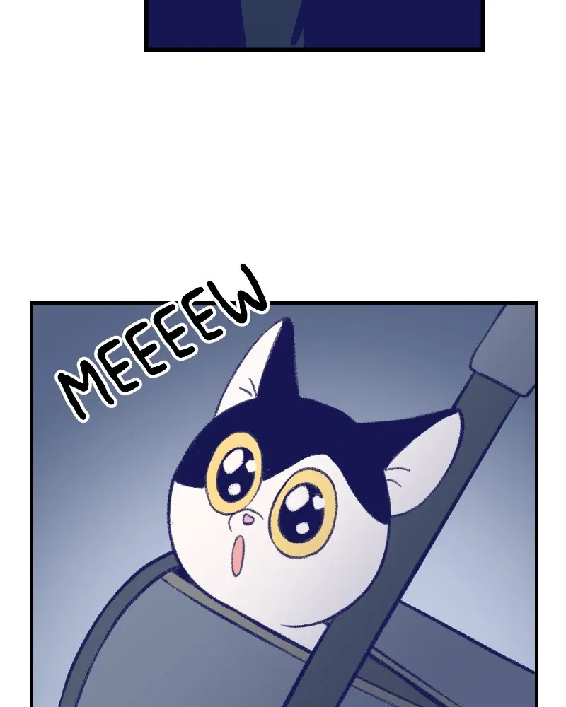 Nice to Meet You (Wishroomness) Chapter 10 page 53 - 