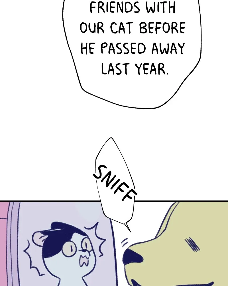 Nice to Meet You (Wishroomness) Chapter 13 page 24 - 