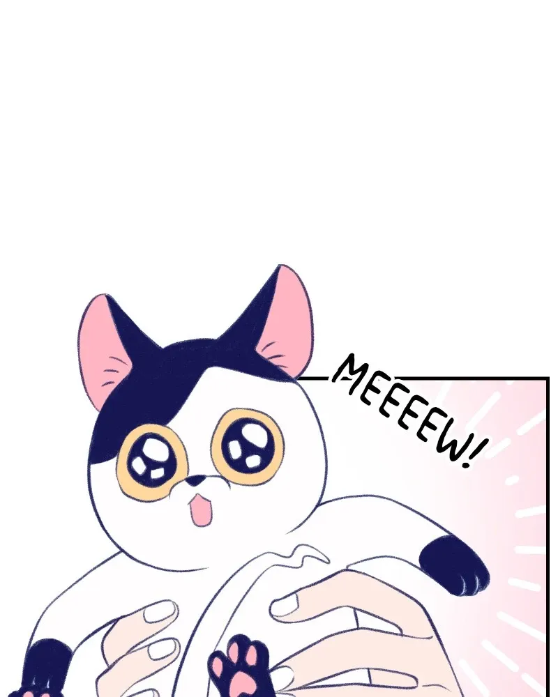 Nice to Meet You (Wishroomness) Chapter 13 page 40 - 